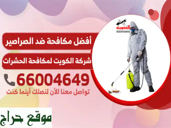 رش مبيدات حشرية شركة الكويت لمكافحة الحشرات