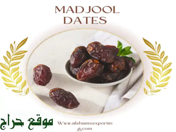 Medjool dates