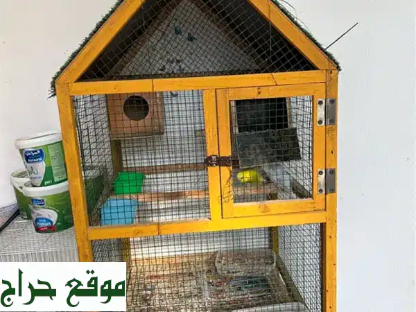 Bird and Cage for Sale