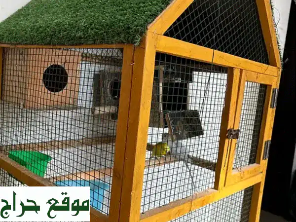 Bird and Cage for Sale