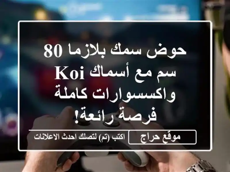 حوض سمك بلازما 80 سم مع أسماك Koi واكسسوارات كاملة - فرصة رائعة!