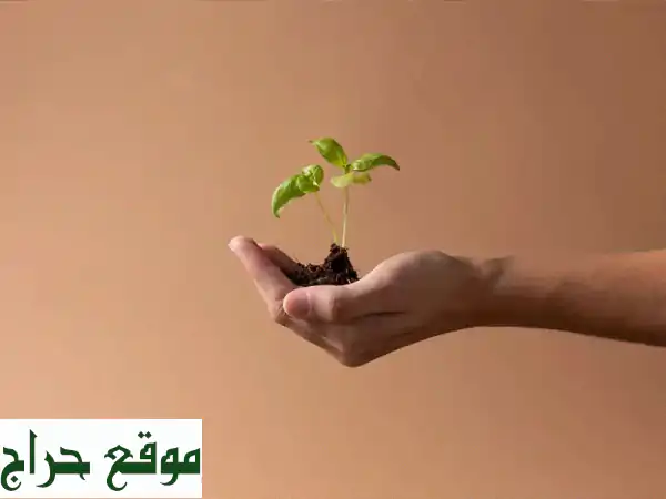 حلول بيئية متكاملة لإدارة النفايات - تراخيص...