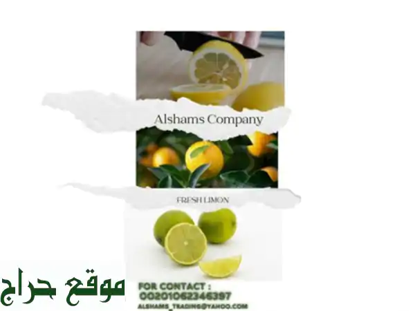 hello we're alshams company <br/>we're global exporter and supplier of #fresh_limon <br/>we're bulk ...