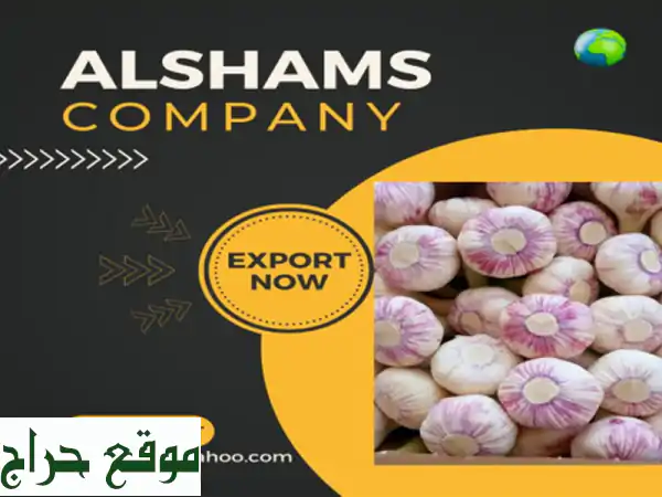 hello we're alshams company <br/>we're global exporter and supplier of #fresh garlic <br/>we're bulk ...