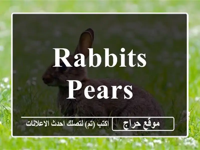 rabbits pears
