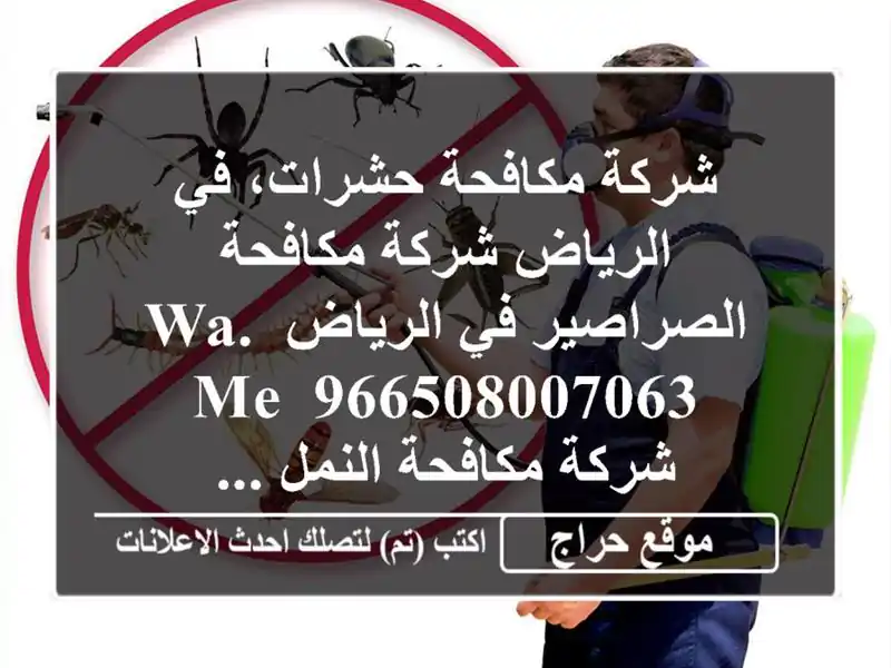 شركة مكافحة حشرات، في الرياض شركة مكافحة الصراصير في الرياض wa. me/ 966508007063 شركة مكافحة النمل ...