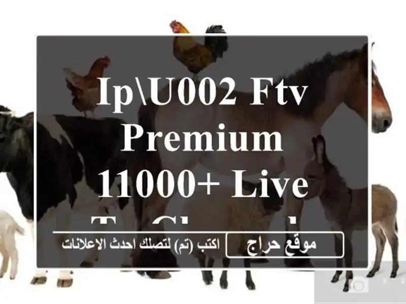 IPu002 FTV Premium 11000+ Live Tv Channels