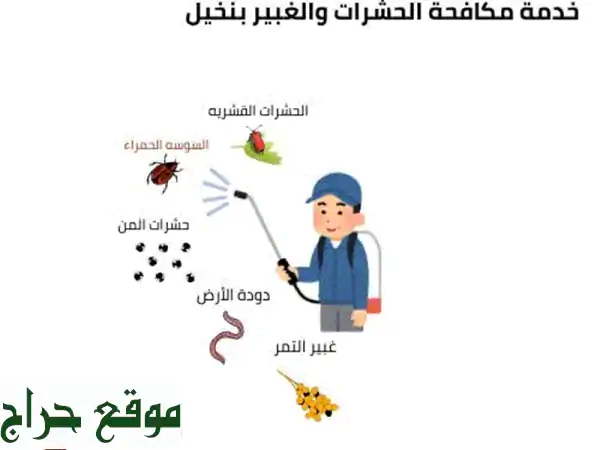 رش مبيدات مكافحة الغبير السوسه الحمراء...