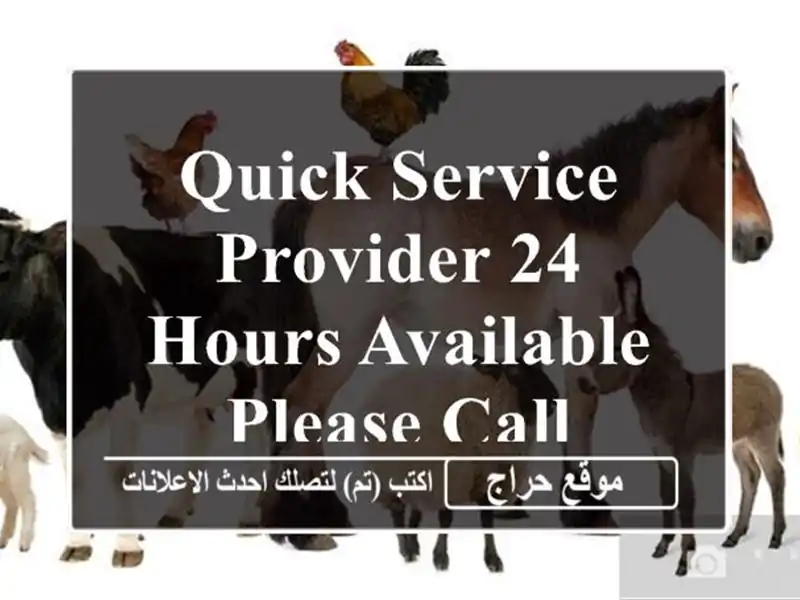 Quick service provider 24 hours available please call