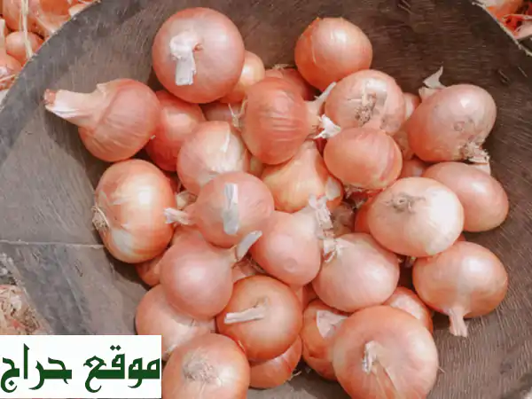 hereunder our offer for fresh onion with the following specifications <br/>origin egypt...
