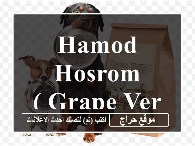 Hamod Hosrom( Grape Verjuice)