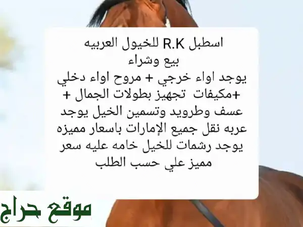اسطبل r k للخيول العربية بيع وشراء اواء داخلي وخارجي