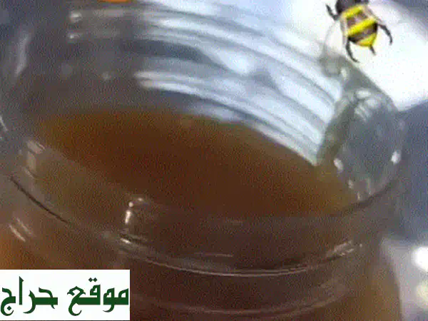 اجواد انواع العسل الملكي الدوعني(سدرسمرتابعة سدر)