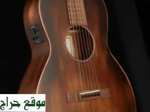 Guitare Sigma 00M15 SEAGED guitare électroacoustique folk avec housse