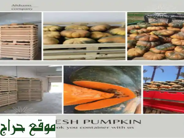 freshpumpkin <br/>al shams company offers you the pumpkin product with the best quality, taste and ...