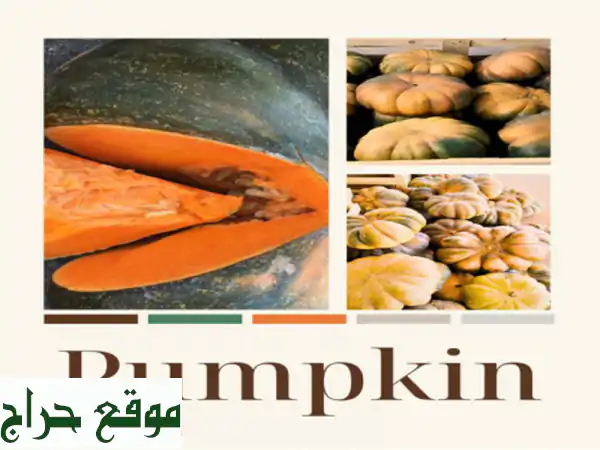 hello we're alshams company <br/>we're global exporter and supplier of #pumpkin <br/>we're...