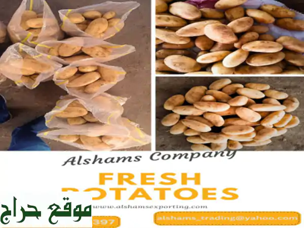 hello we're alshams company <br/>we're global exporter and supplier of #fresh potatoes <br/>we're bulk ...