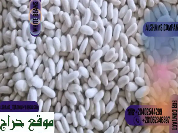 hello we're alshams company <br/>we're global exporter and supplier of #white beans <br/>we're bulk ...
