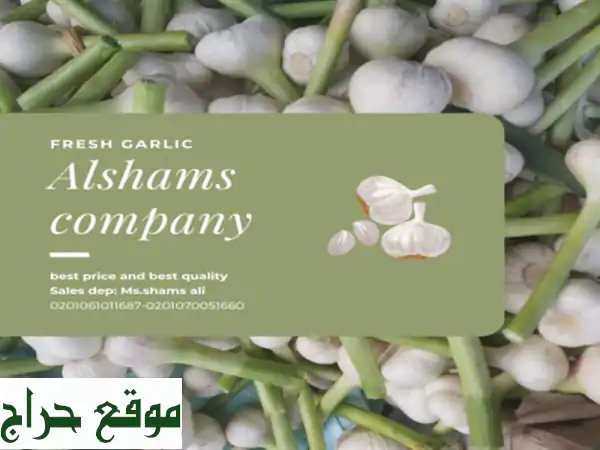 we are alshams for general import and export . <br/>we can supply all kinds of agricultural products ...