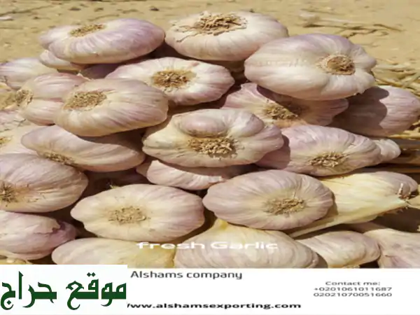 we are alshams for general import and export . <br/>we can supply all kinds of...