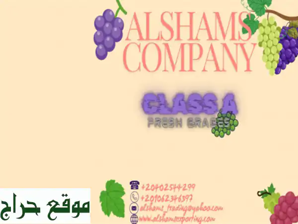 hello we're alshams company <br/>we're global exporter and supplier of #fresh grabes...