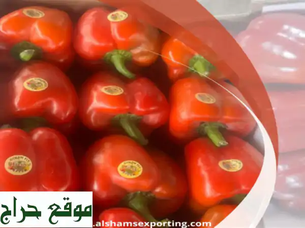 varieties coloured pepper ( green , red , yellow ) <br/>, chili ( red & green ) ....