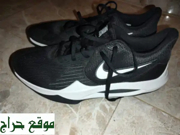 basket Nike originale pointure 46