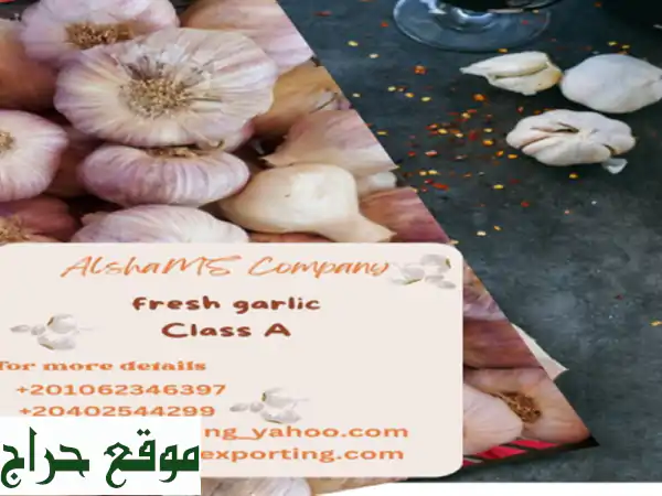 hello we're alshams company <br/>we're global exporter and supplier of #fresh garlic <br/>we're bulk ...