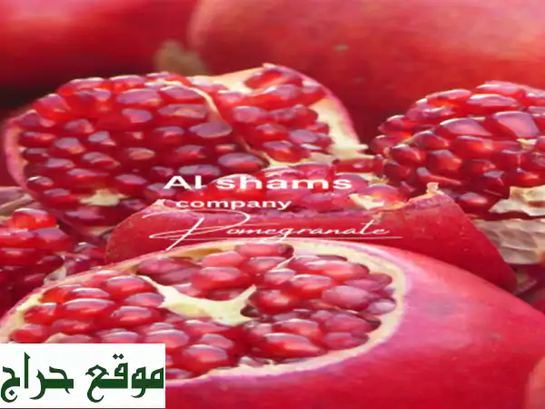 welcome <br/>fresh pomegranate <br/>a new season and a new product, it is fresh...