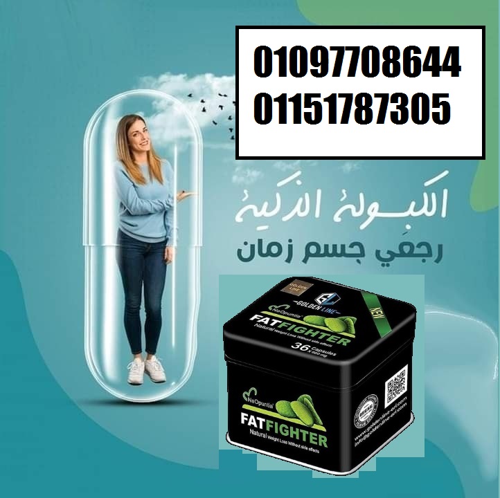 🔥 Fat Fighter – فات فايتر 🔥