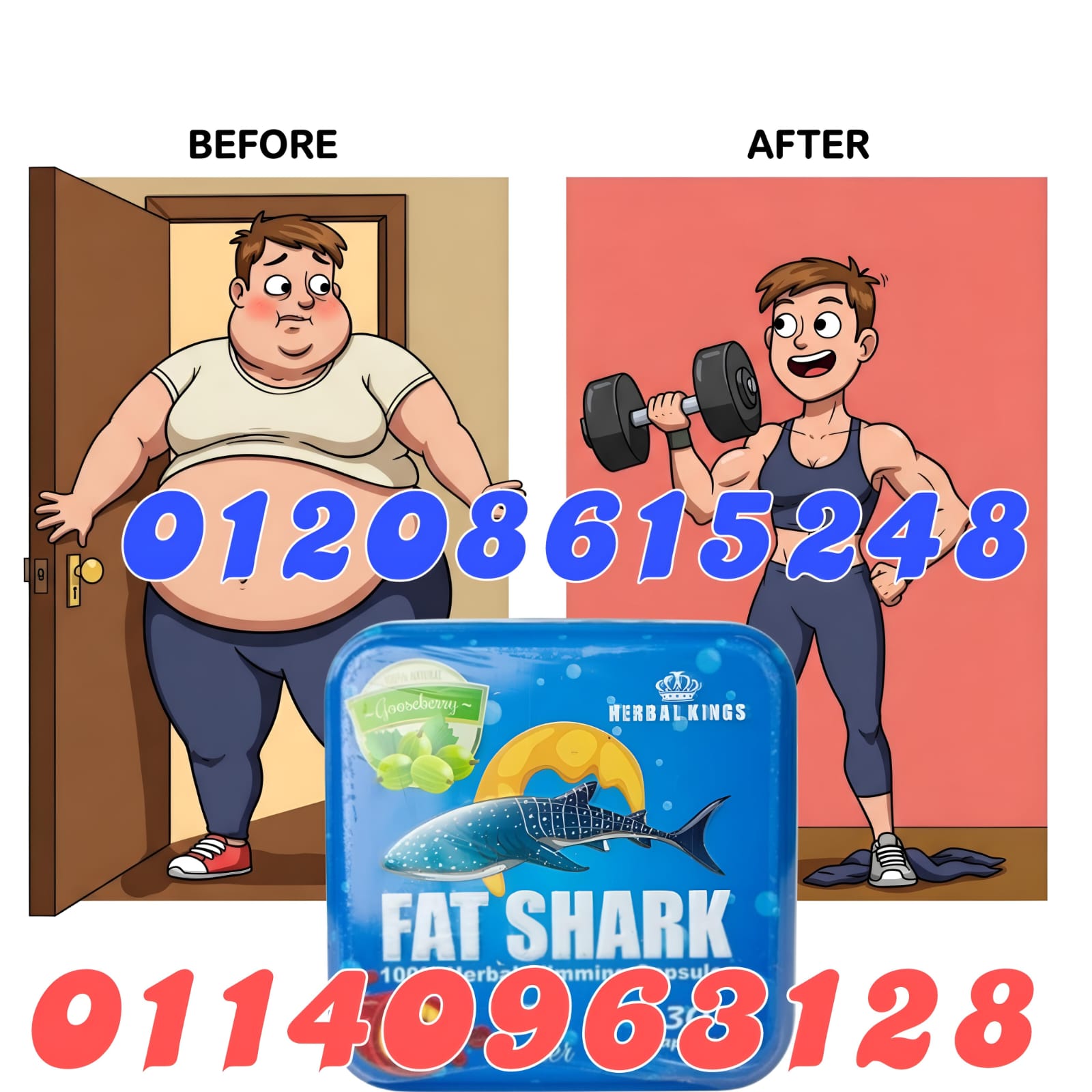 كبسولات فات شارك Fat Shark التخسيس الصح والسريع من غير...