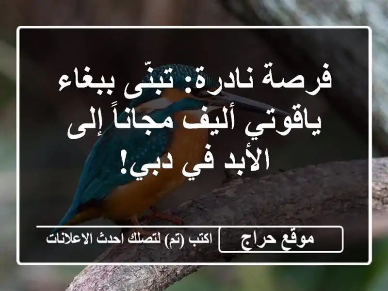 فرصة نادرة: تبنّى ببغاء ياقوتي أليف مجاناً إلى...