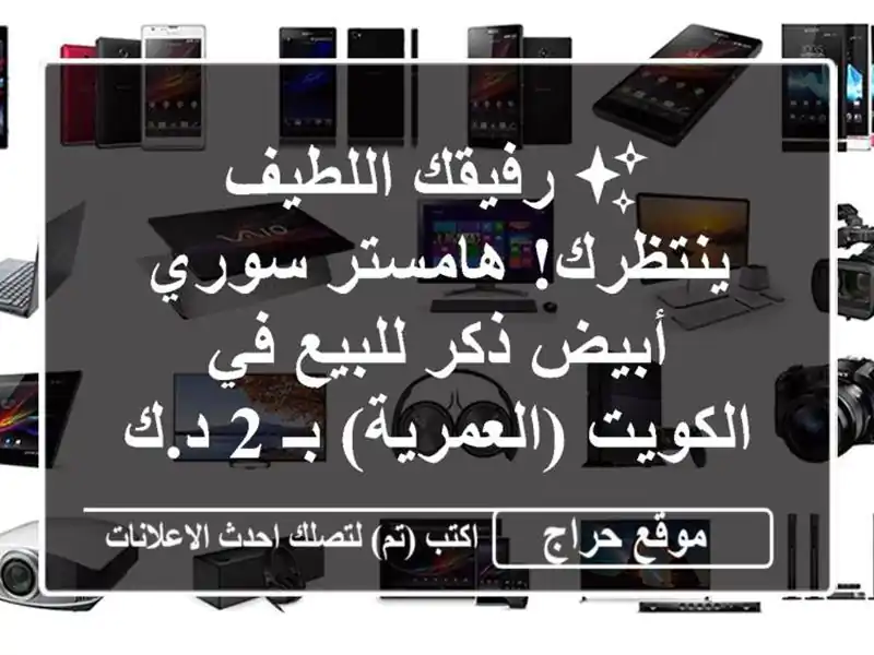 ✨ رفيقك اللطيف ينتظرك! هامستر سوري أبيض ذكر للبيع...