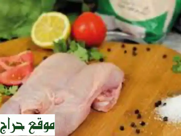 شاورما دجاج جدة للمطاعم: طازجة يومياً، جودة أولى، توصيل مجاني!
