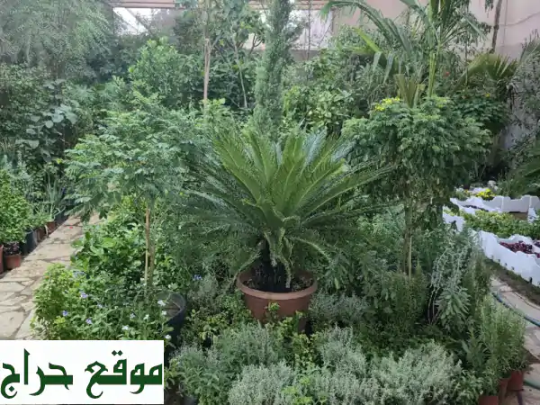 Nature