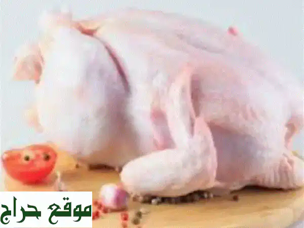 شاورما دجاج جدة للمطاعم: طازجة يومياً، جودة...