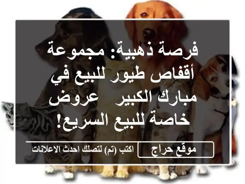 فرصة ذهبية: مجموعة أقفاص طيور للبيع في مبارك الكبير...
