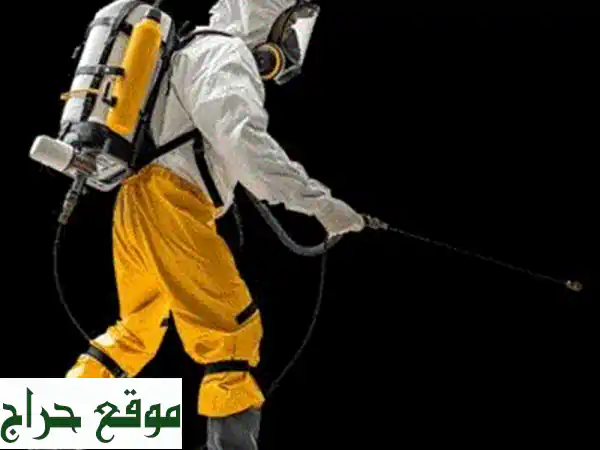 شركة اكس لمكافحة الحشرات | حلول نهائية لـ صراصير،...