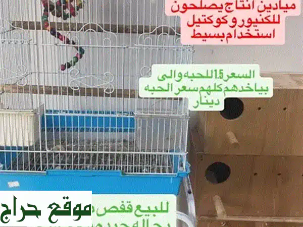 فرصة لا تُعوّض! للبيع: حيوانات وطيور رائعة...