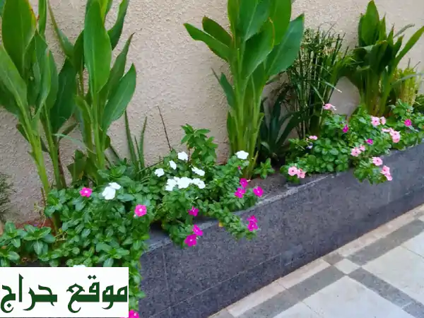 اجعل حديقتك واحة أحلامك! تنسيق حدائق، شبكات ري،...