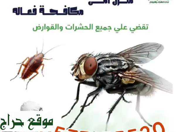 وداعاً للحشرات للأبد! | تعقيم ومكافحة حشرات ورش مبيدات | الألمانية