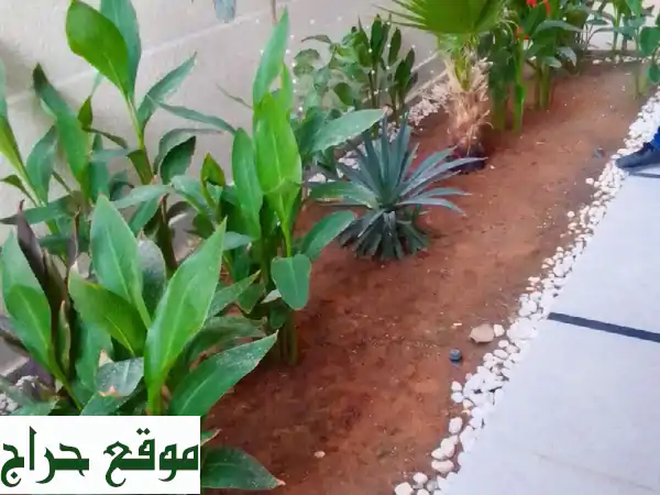 اجعل حديقتك واحة أحلامك! تنسيق حدائق، شبكات ري، زراعة نخيل، عشب صناعي وصيانة شهرية | خدمات زراعية متكاملة