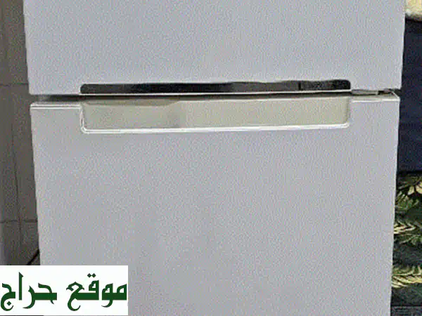 ثلاجة سامسونج 209 لتر: انتعاش يدوم، تصميم ذكي لمطبخك | صنع في تايلاند!