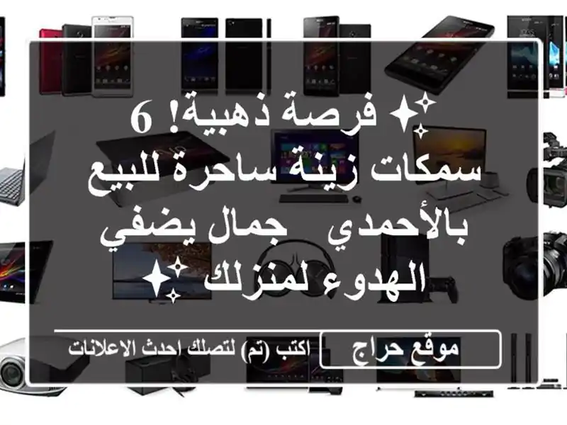 ✨ فرصة ذهبية! 6 سمكات زينة ساحرة للبيع بالأحمدي -...