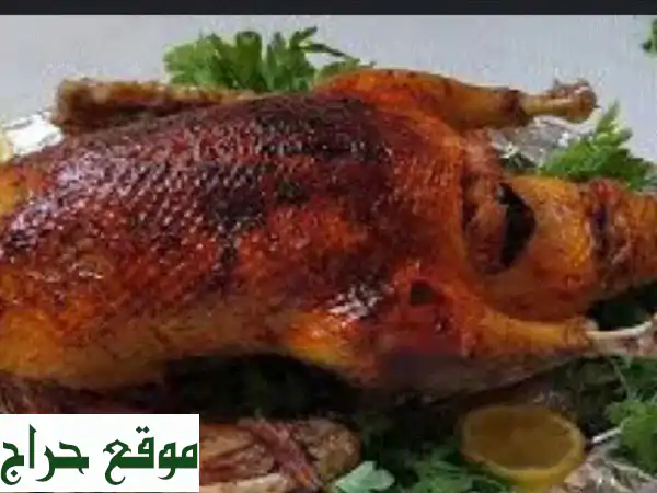 أكل بيتي مصري في دبي والشارقة: مذاق أصيل ووجبات...