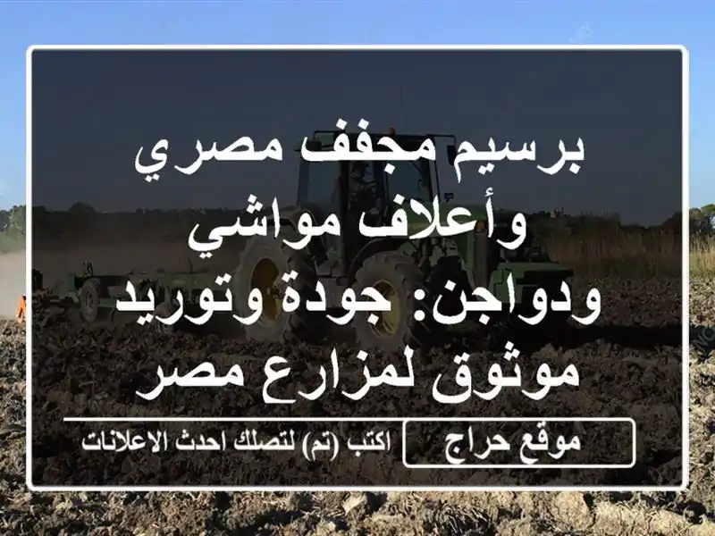 برسيم مجفف مصري وأعلاف مواشي ودواجن: جودة وتوريد...