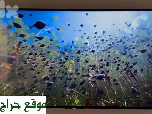 للبيع: تلفزيون سوني برافيا 55 بوصة 4K أندرويد ذكي (X75H)...