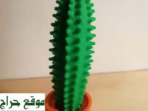قلم الصبار العصري الجديد: لمسة إبداع لمكتبك بسعر...