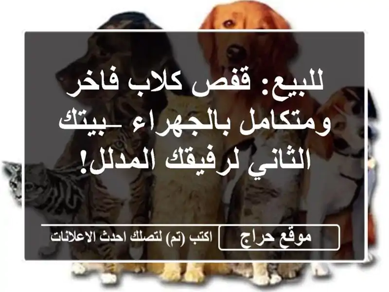 للبيع: قفص كلاب فاخر ومتكامل بالجهراء – بيتك...