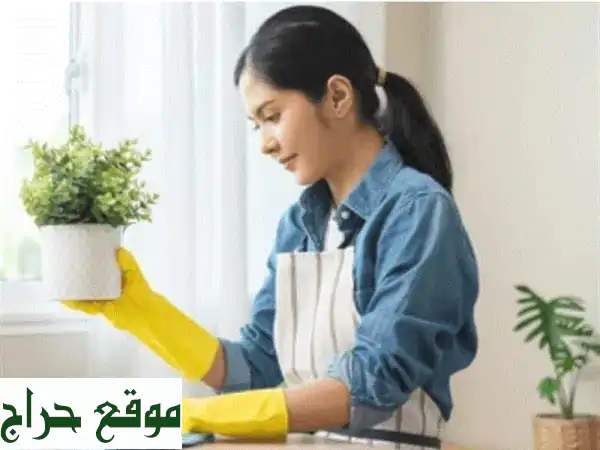 عاملات منازل بخبرة عالية: استقدام عاملة...